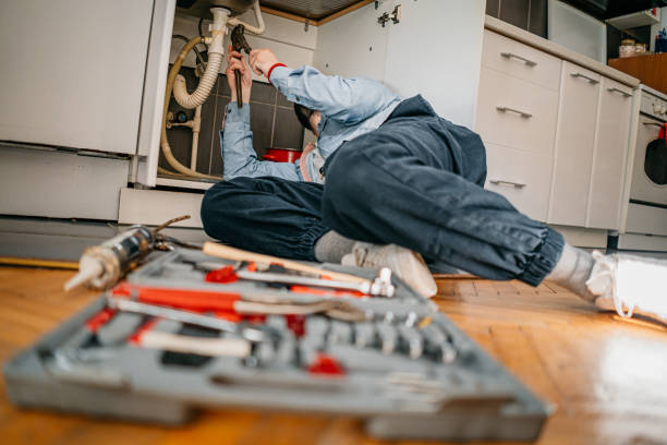 Best Emergency Plumber  in Pawnee, IL
